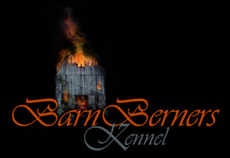 picture for barn berners dog kennel